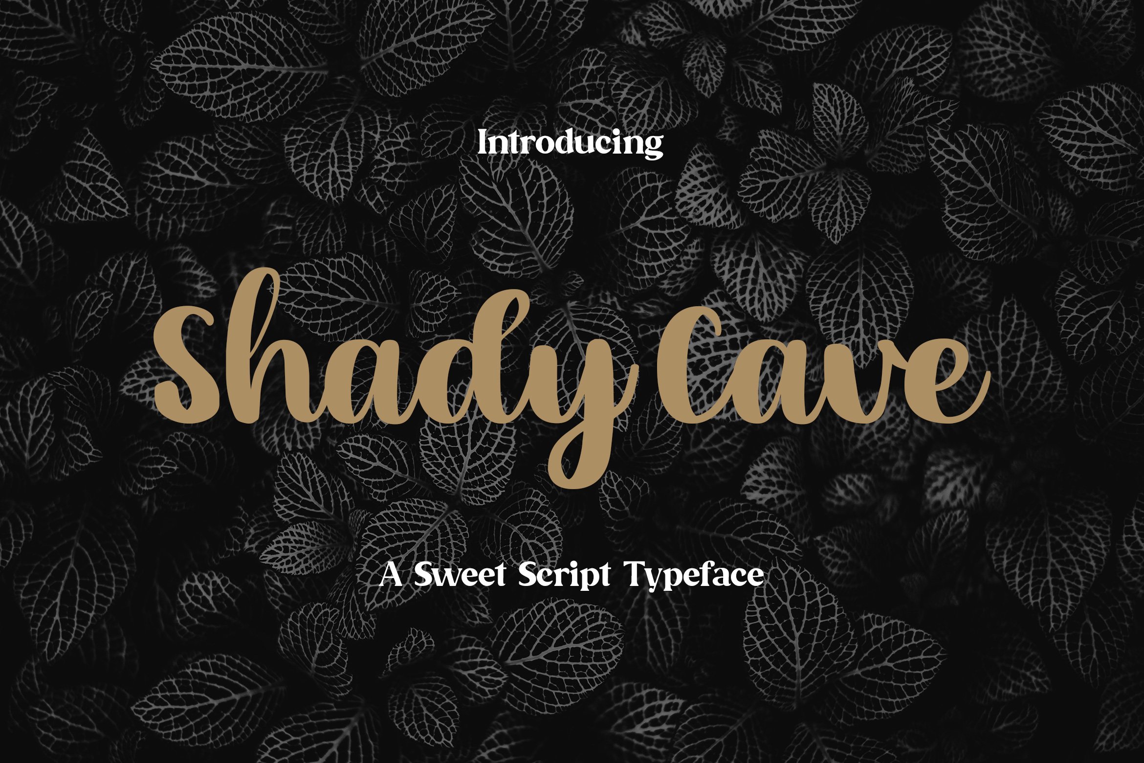 Shady Cave - Script Font cover image.