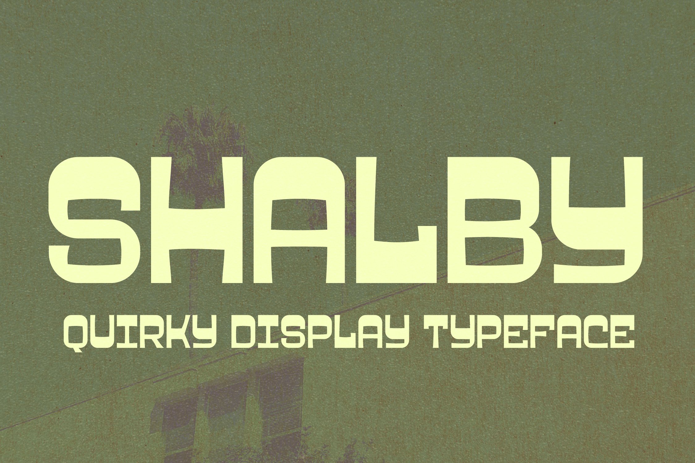 Shalby Quirky Display Typeface Font cover image.