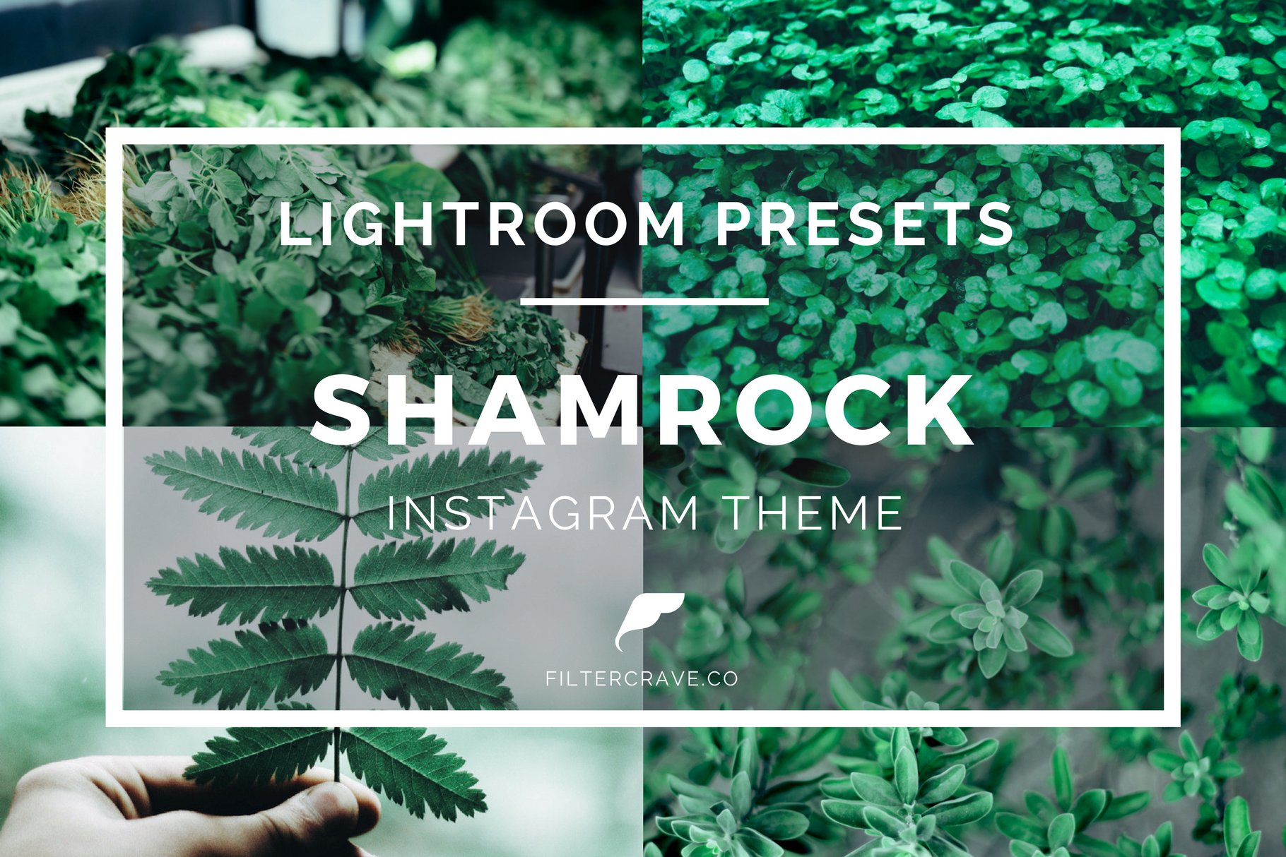 shamrock instagram theme lightroom presets filtercrave cover graphic 28229 43