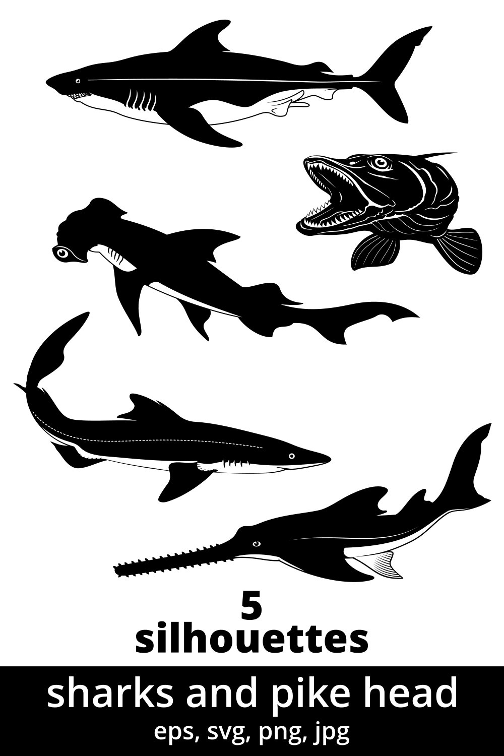 Six silhouettes of sharks and pikes.