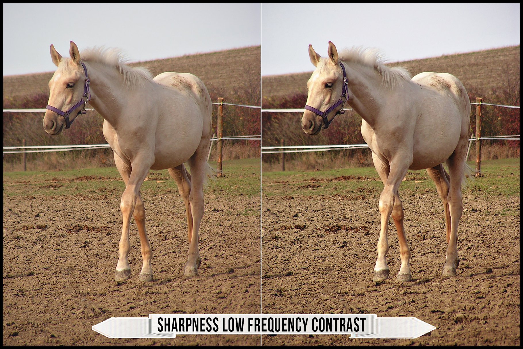 sharpness low frequency contrast 657