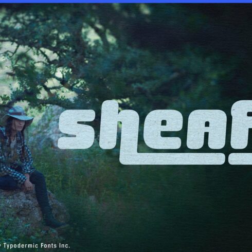 Sheaff cover image.
