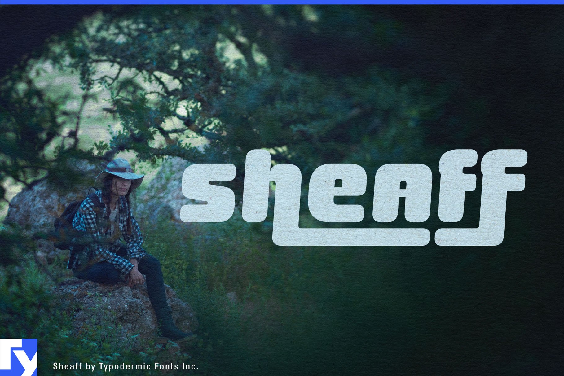 Sheaff cover image.