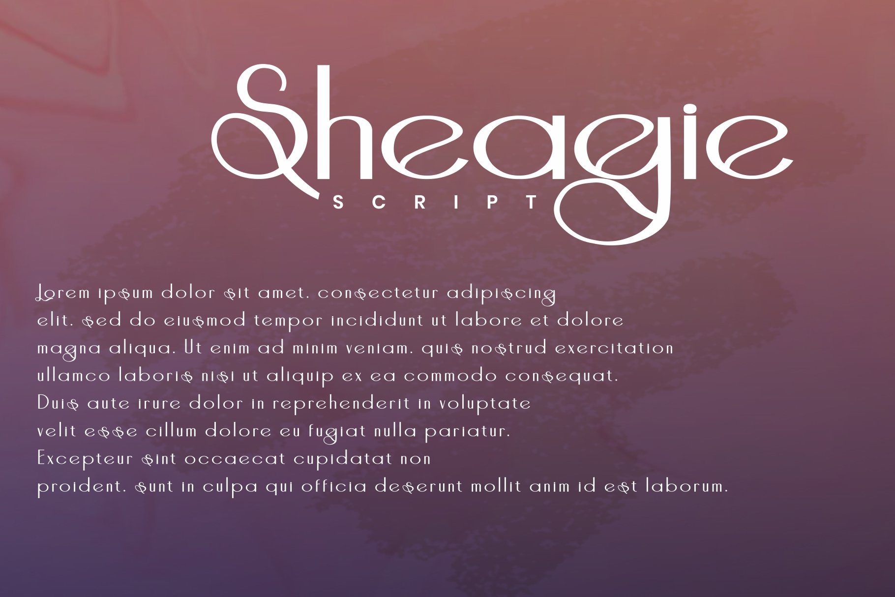 Sheagie - Script Fontpreview image.