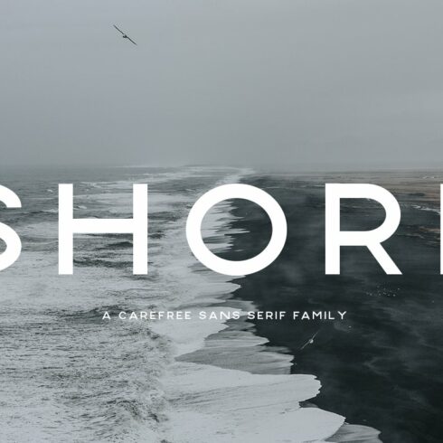 Shore | A Carefree Font Family cover image.