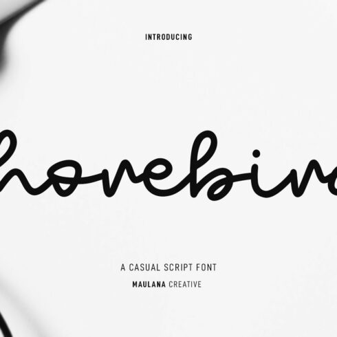 Shorebird Script Font cover image.