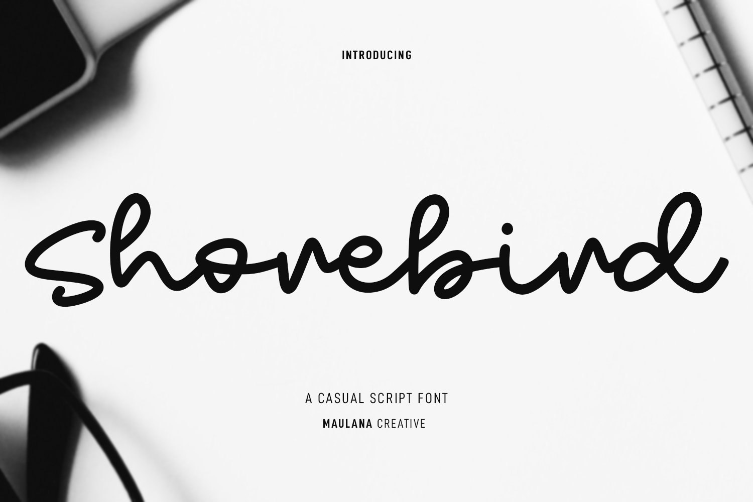 Shorebird Script Font cover image.