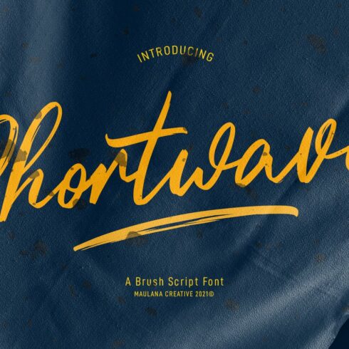 Shortwaves Brush Script Font cover image.