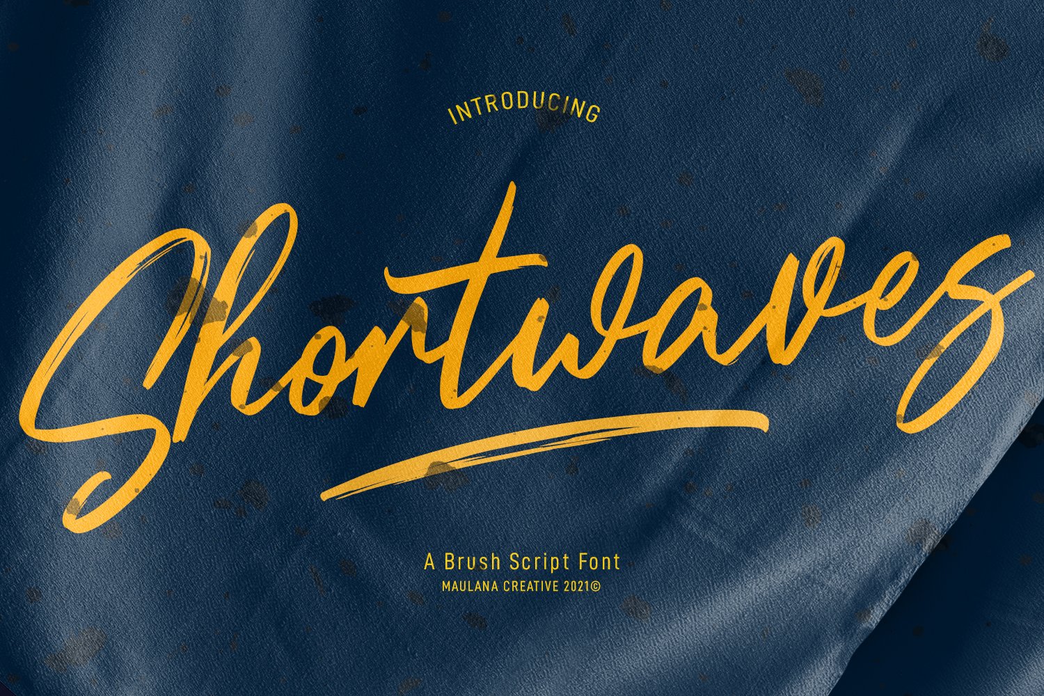 Shortwaves Brush Script Font cover image.