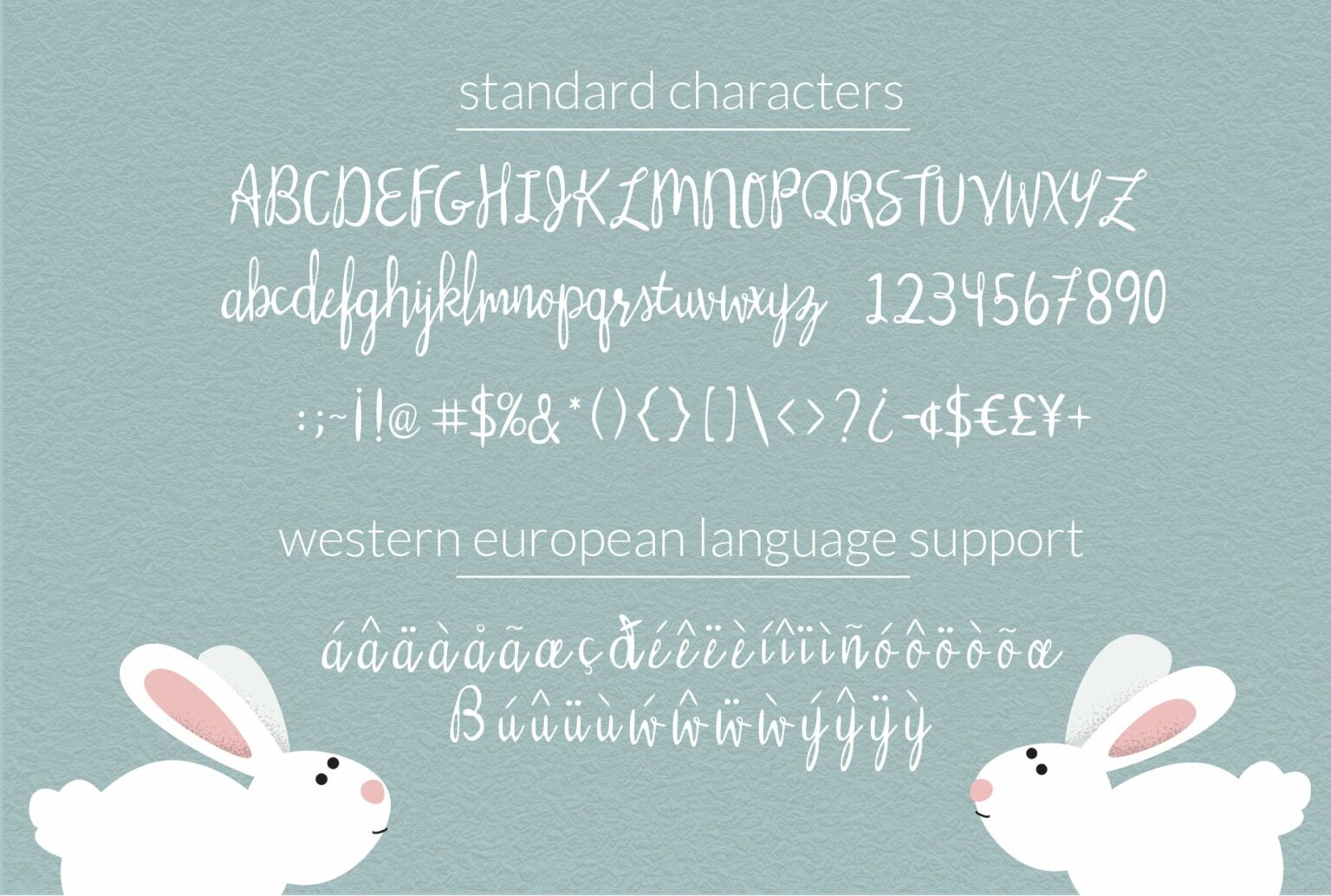 Silly Rabbit Script Font – MasterBundles