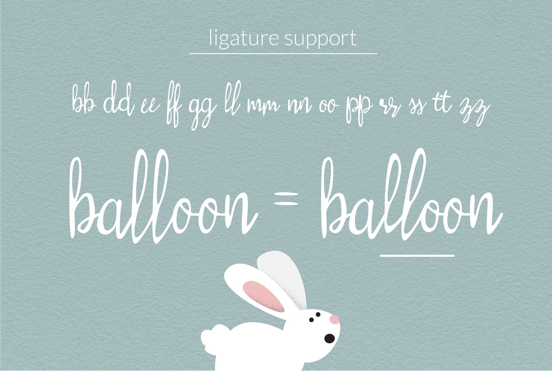 Silly Rabbit Script Font preview image.