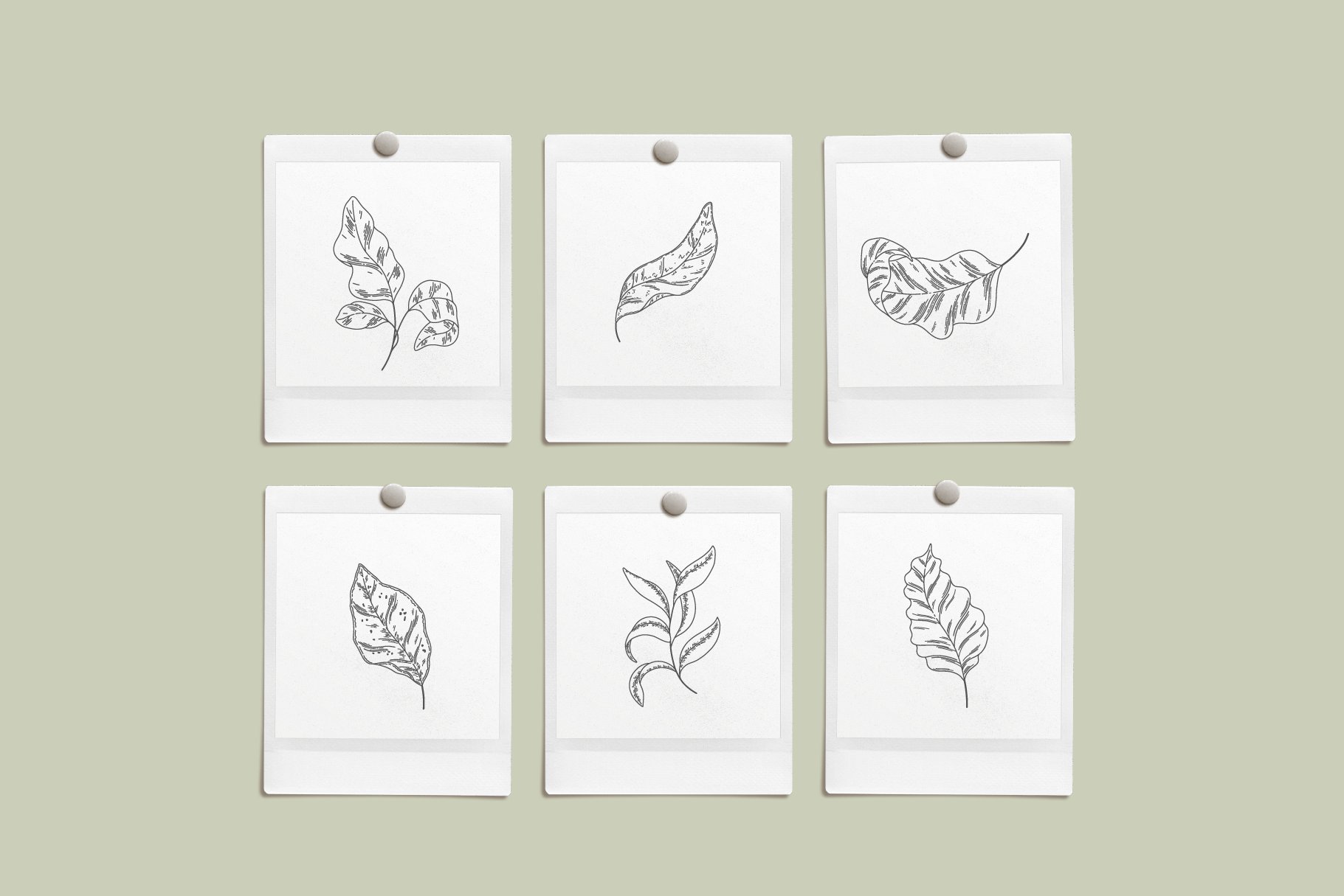 Set of four cards with leaves drawn on them.