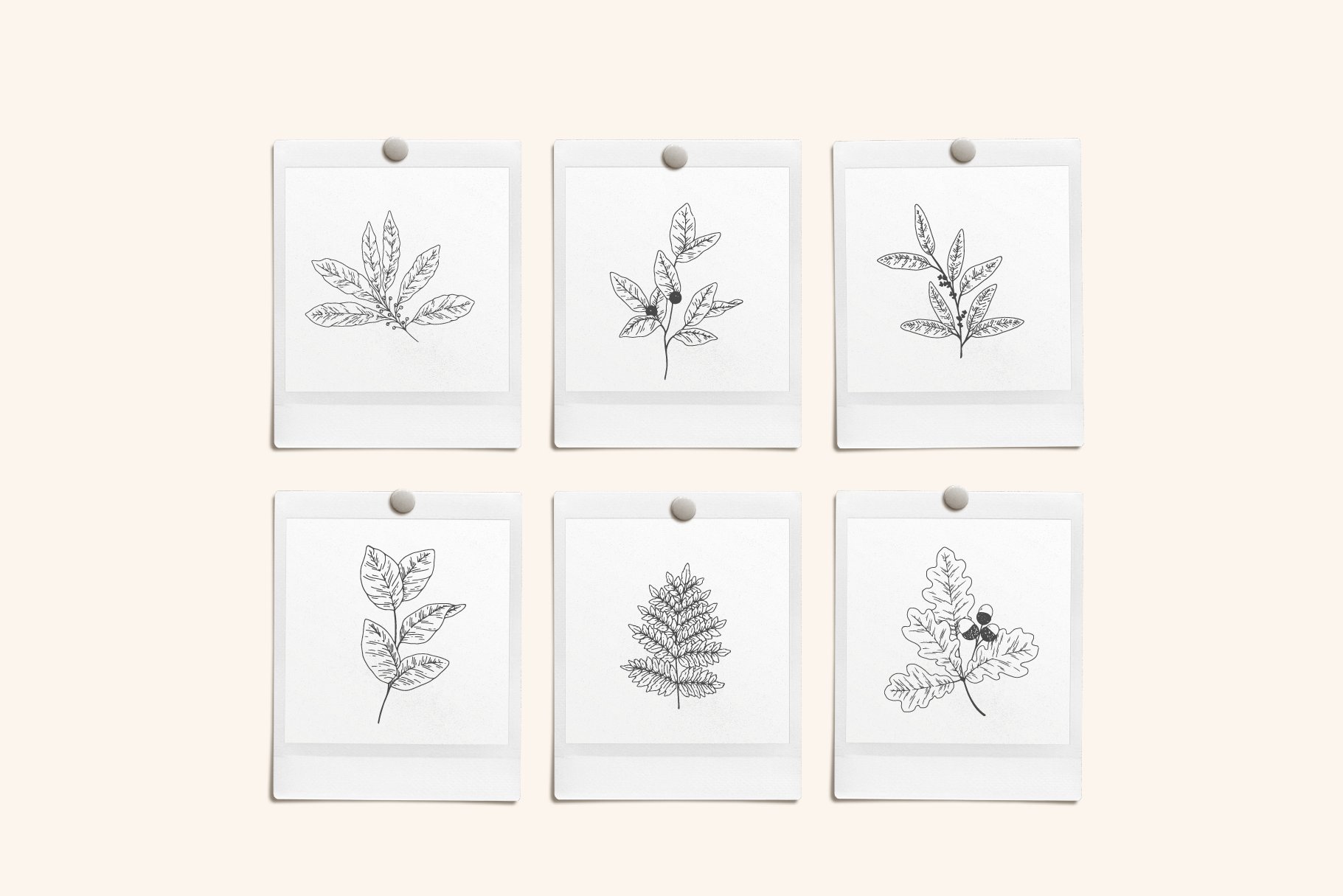 Set of four cards with leaves drawn on them.