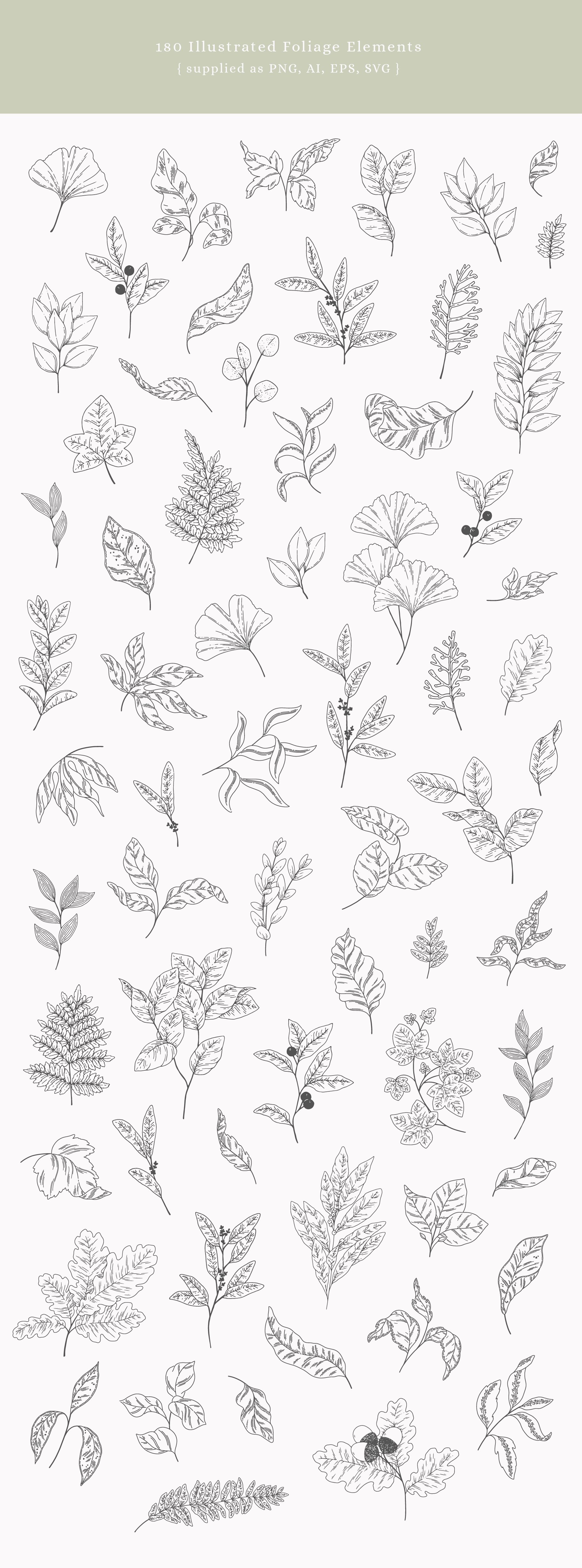 Greenery Vector Illustrations preview image.