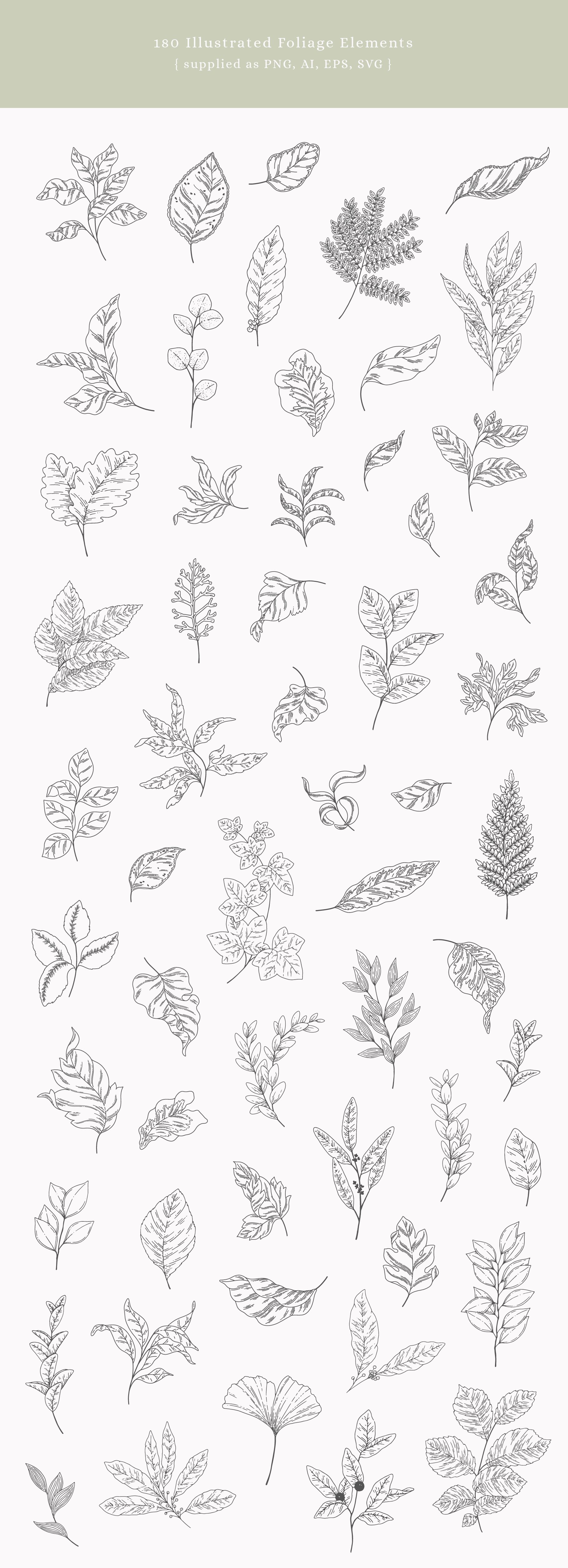 Bunch of leaves that are drawn on a sheet of paper.