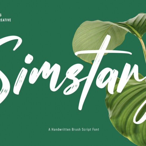 Simstary Brush Script Fontcover image.