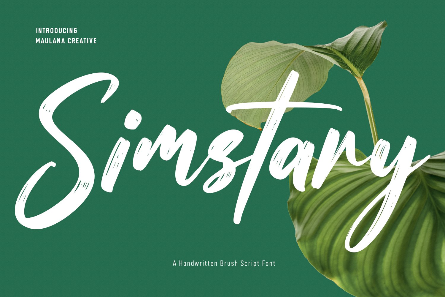 Simstary Brush Script Fontcover image.