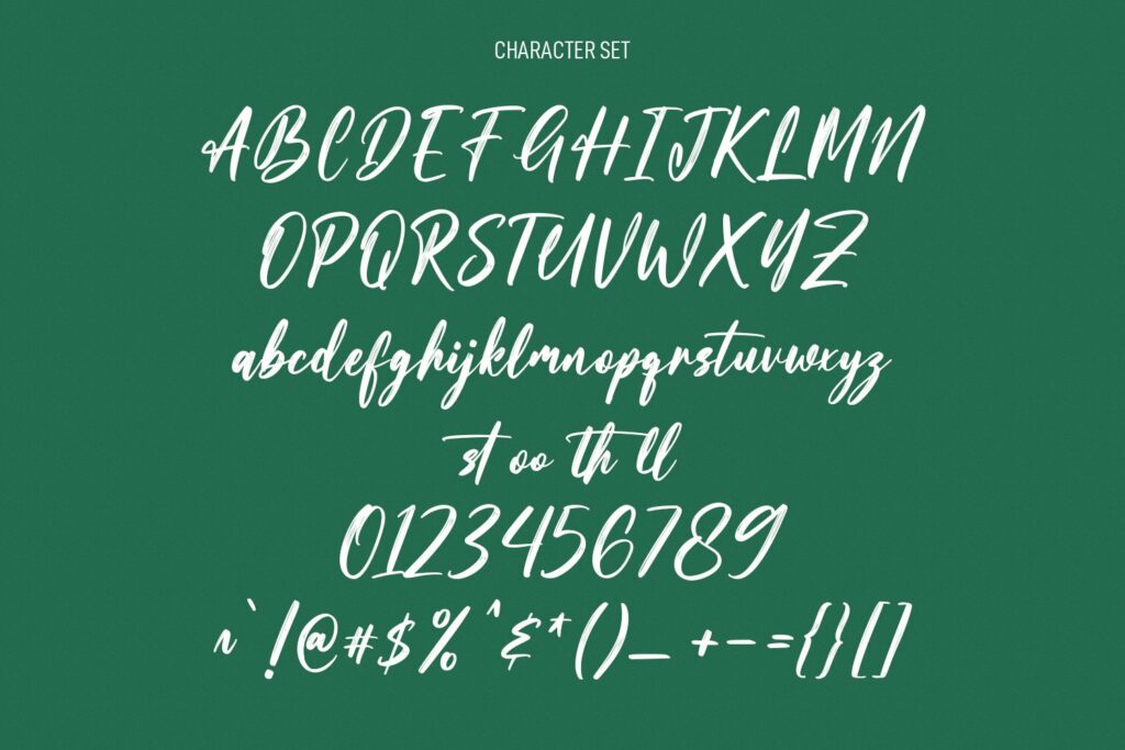 Simstary Brush Script Font – MasterBundles