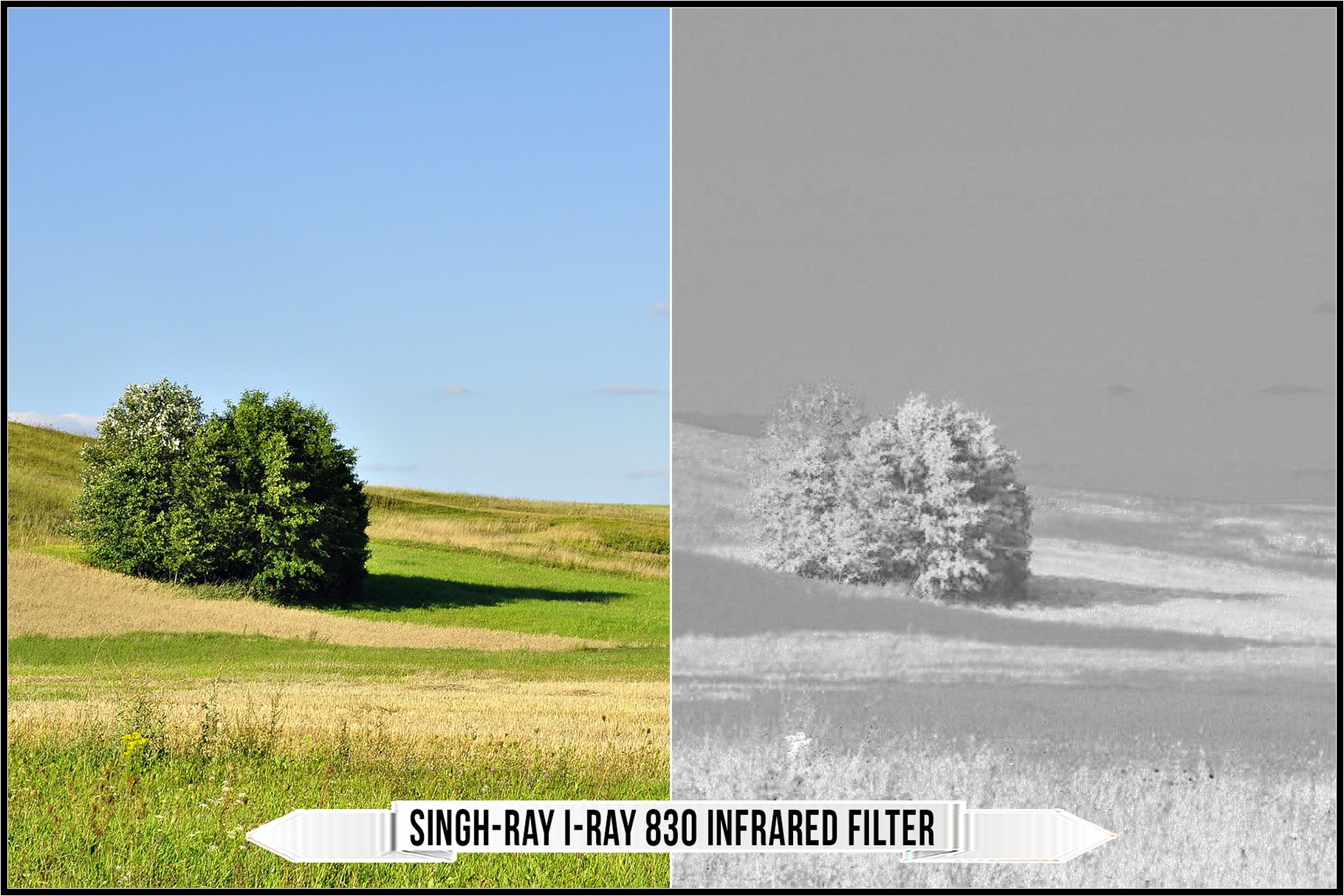 singh ray i ray 830 infrared filter 54