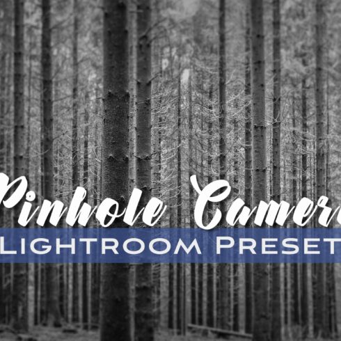 Pinhole Camera Lightroom Presetcover image.