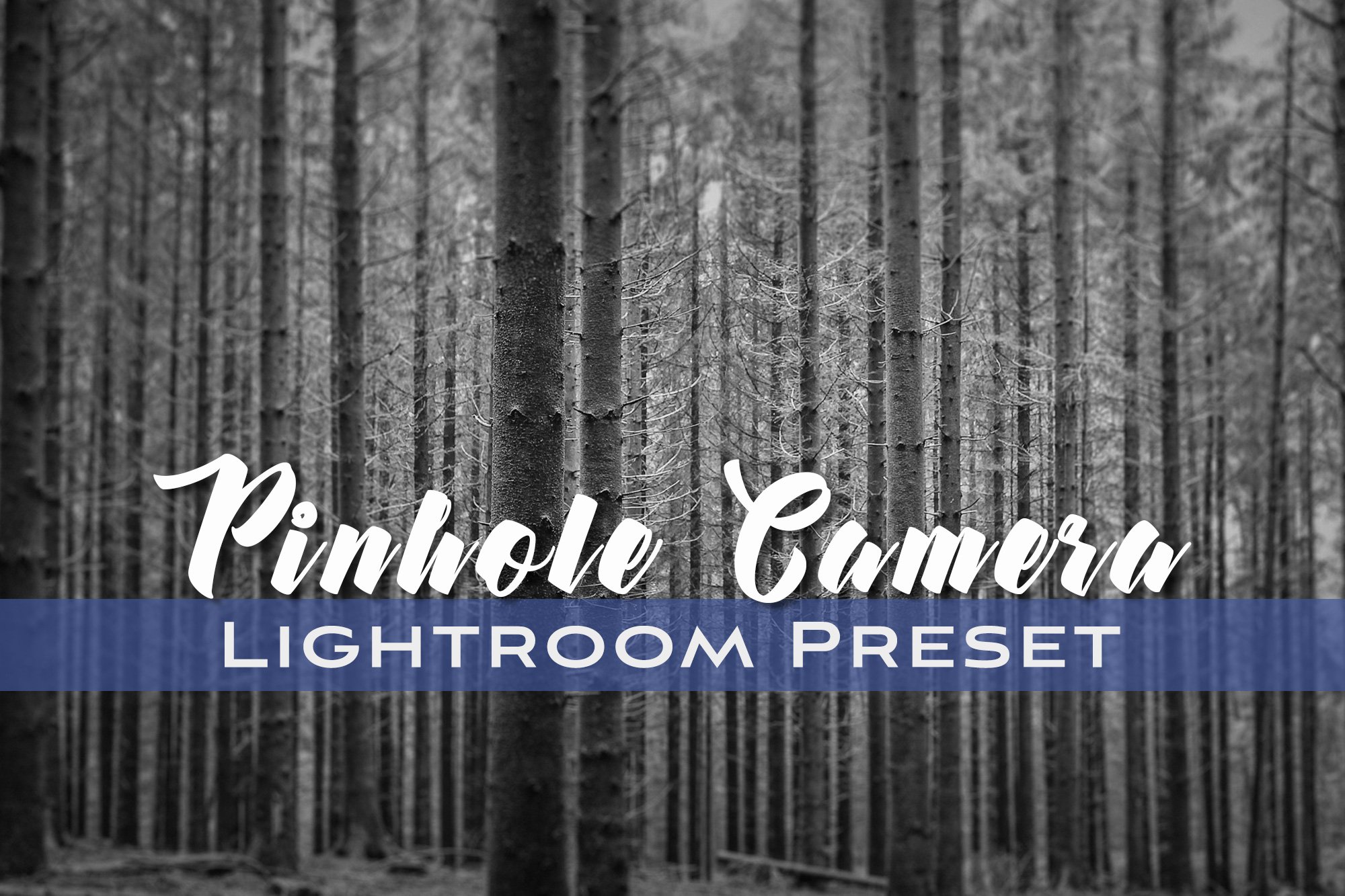 Pinhole Camera Lightroom Presetcover image.