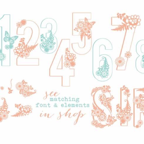 Siri Floral Numbers Font cover image.