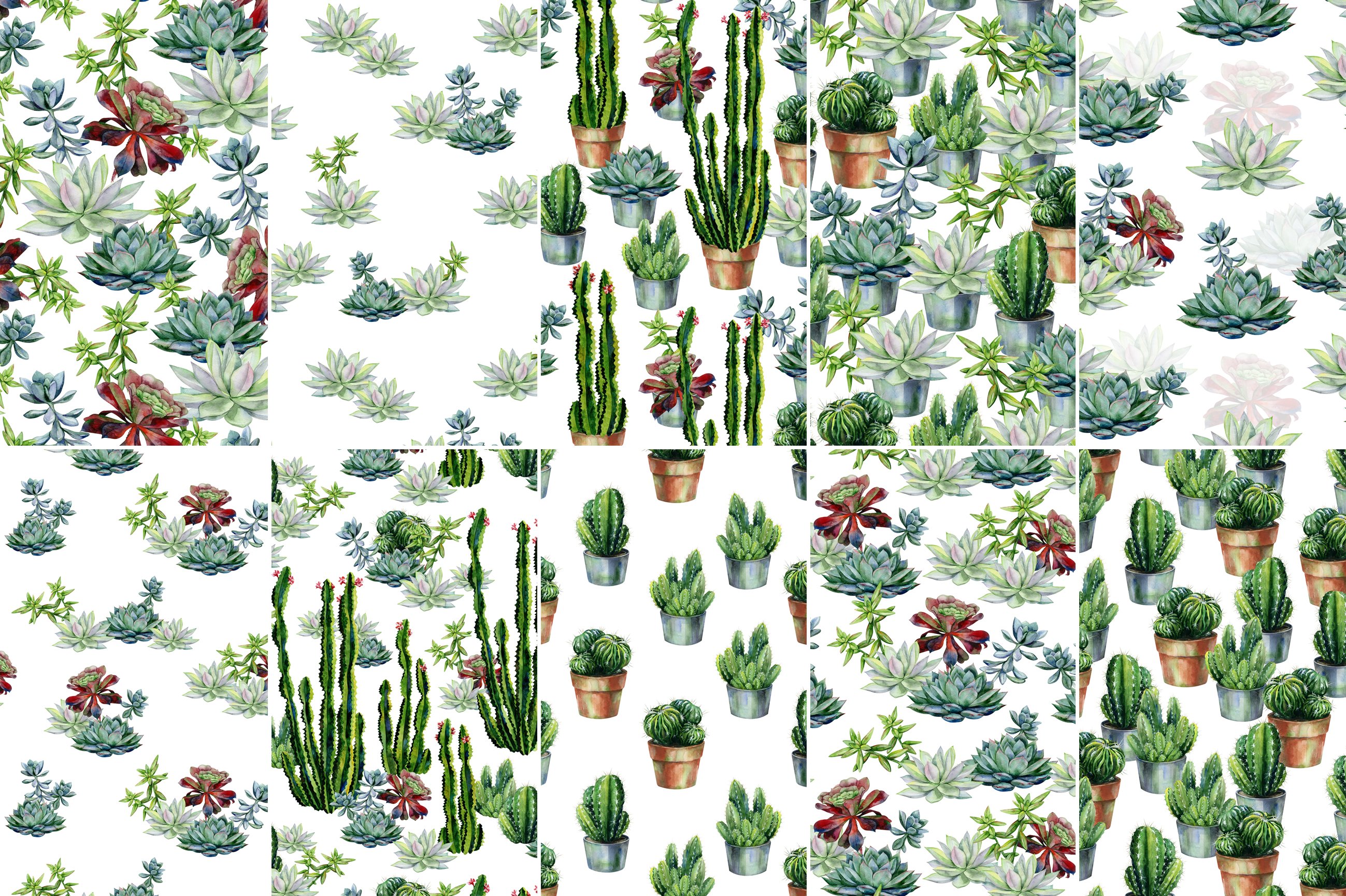 Bunch of cactus plants on a white background.