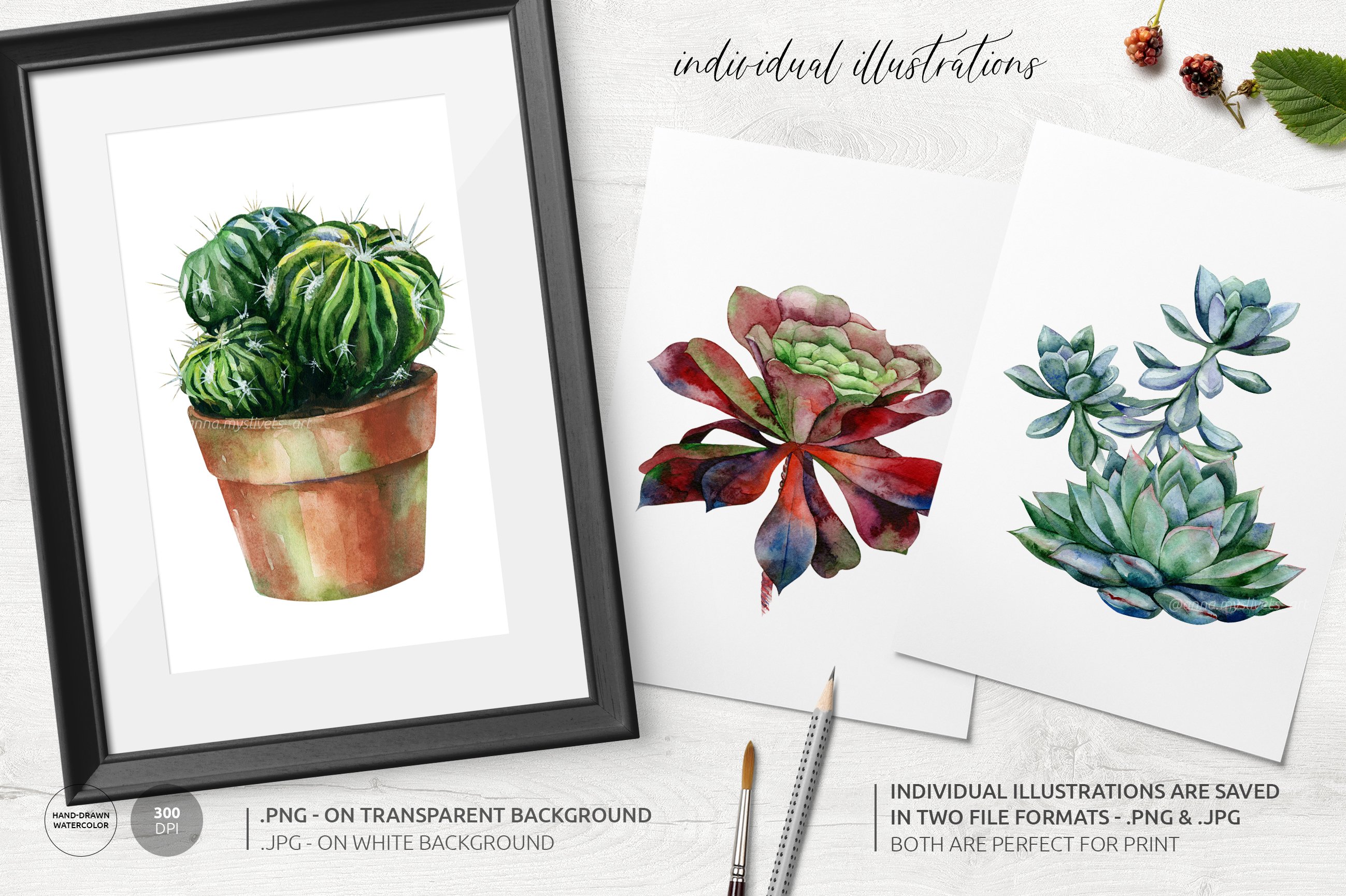 Three watercolor paintings of succulents in a pot.