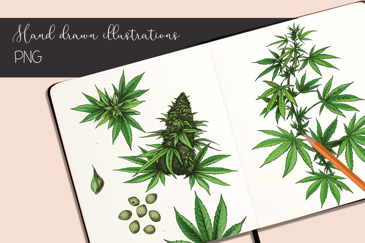 Drawing of marijuana plants on a notebook.