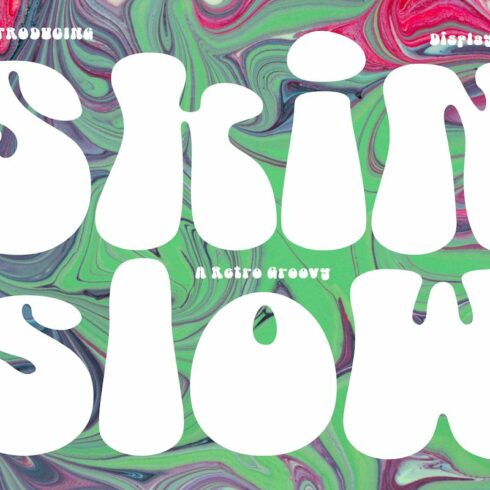 Skin Slow Retro Groofy Display Font cover image.