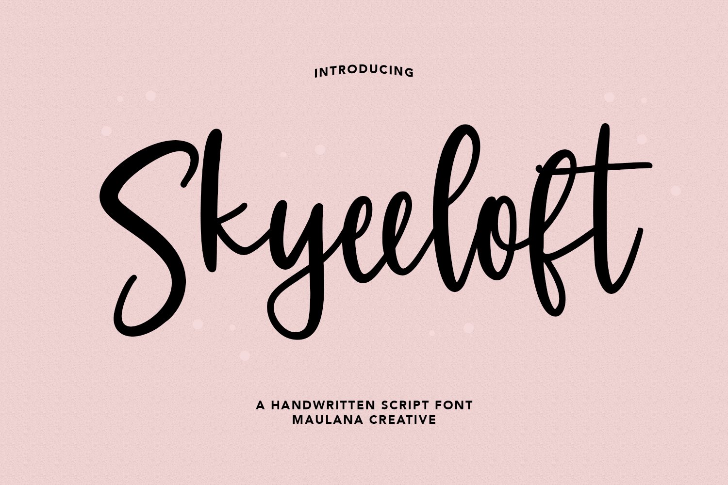 Skyeeloft Handwritten Script Font cover image.