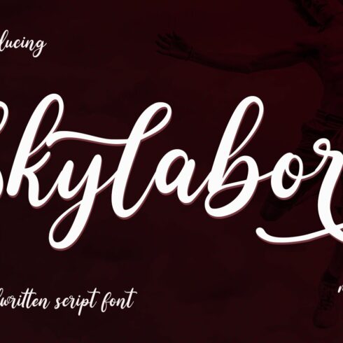 Skylabor Script Font cover image.