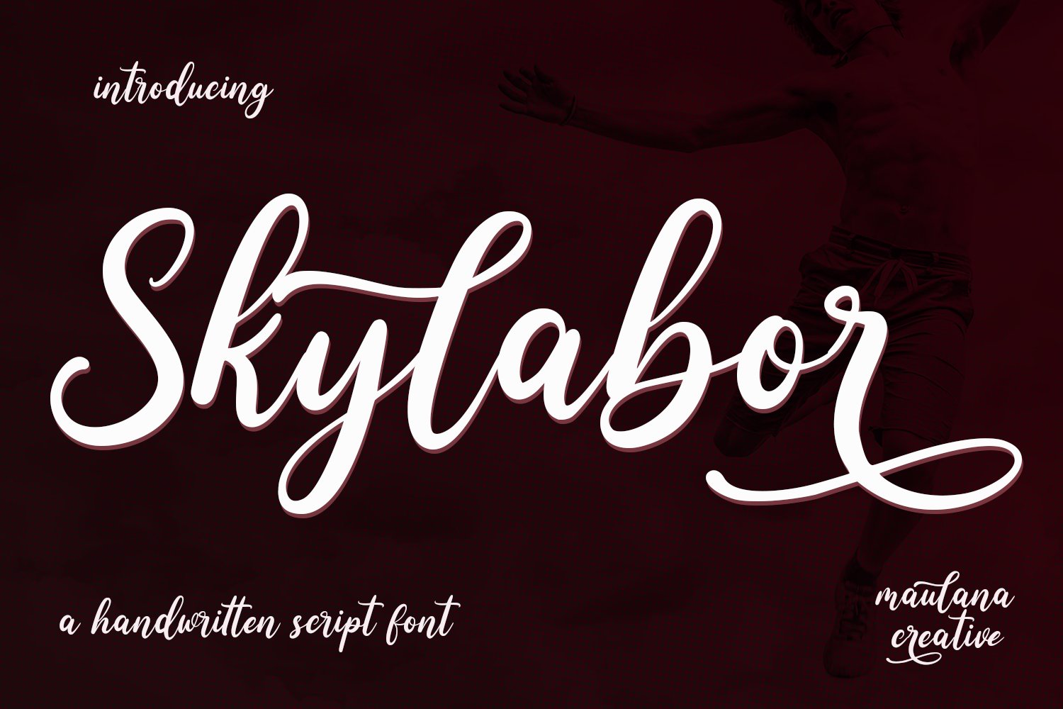 Skylabor Script Font cover image.