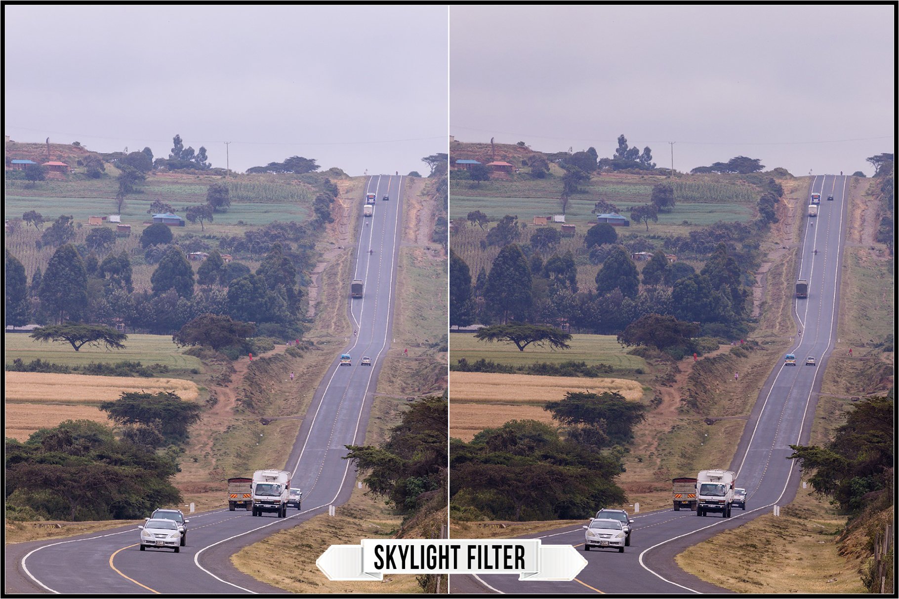 skylight filter 995