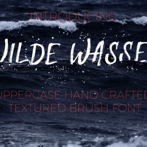 Wilde Wasser - Textured Brush Font cover image.