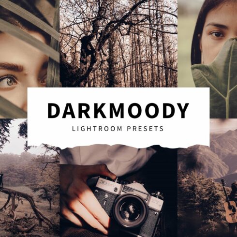 10 Dark Moody Lightroom Presetscover image.