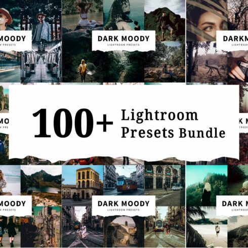 100+ Lightroom Presets Bundlecover image.