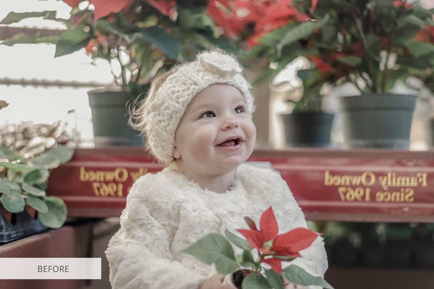 smiling toddler girl holding a red flower winter portrait holiday spirit nominated t20 prp34n 831