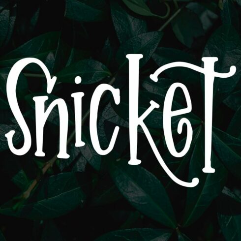 Snicket cover image.