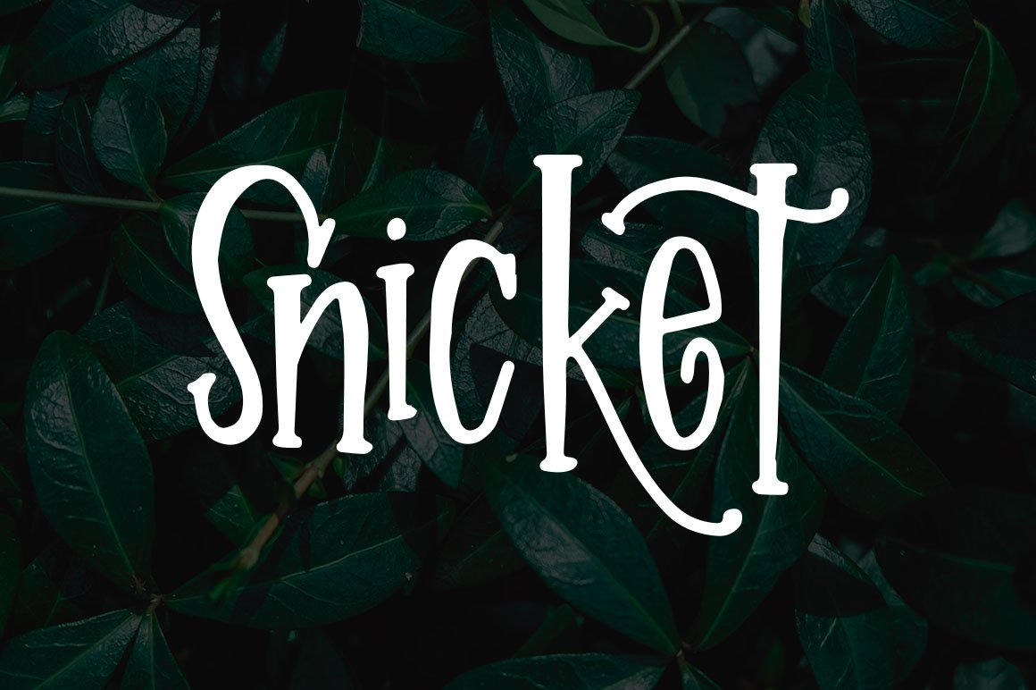 Snicket cover image.