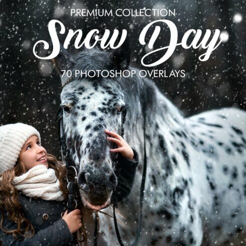 Snow Overlays for Photoshopcover image.