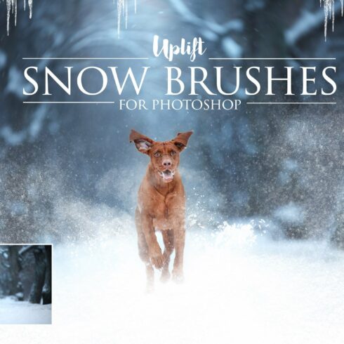 25 Snow Brushes for Photoshopcover image.