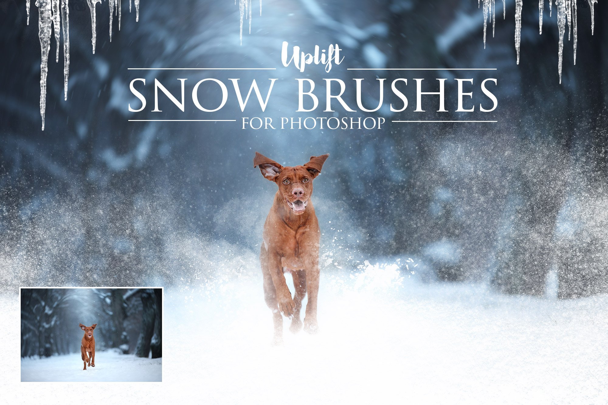 25 Snow Brushes for Photoshopcover image.