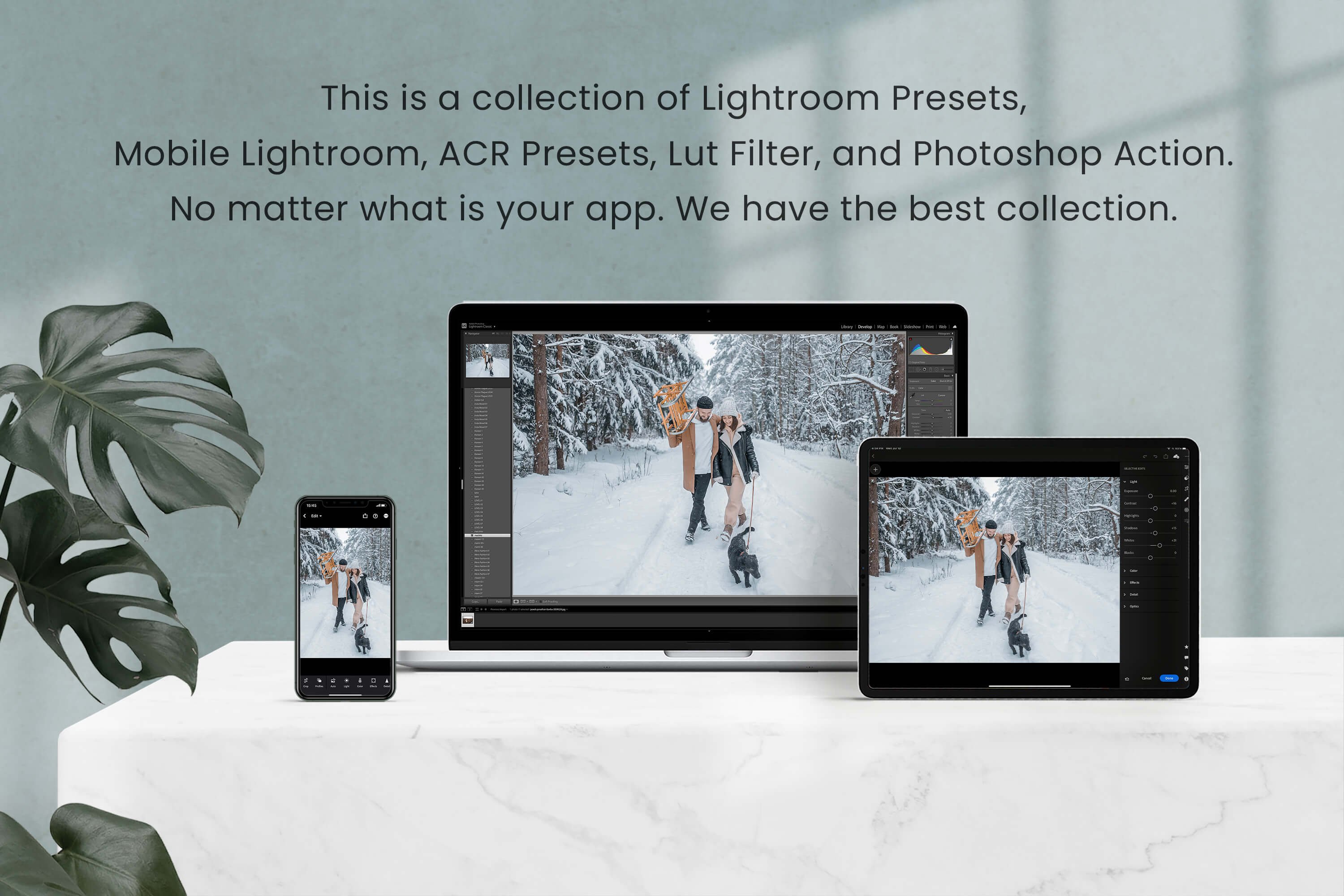 Snowflake Lightroom Photoshop LUTspreview image.