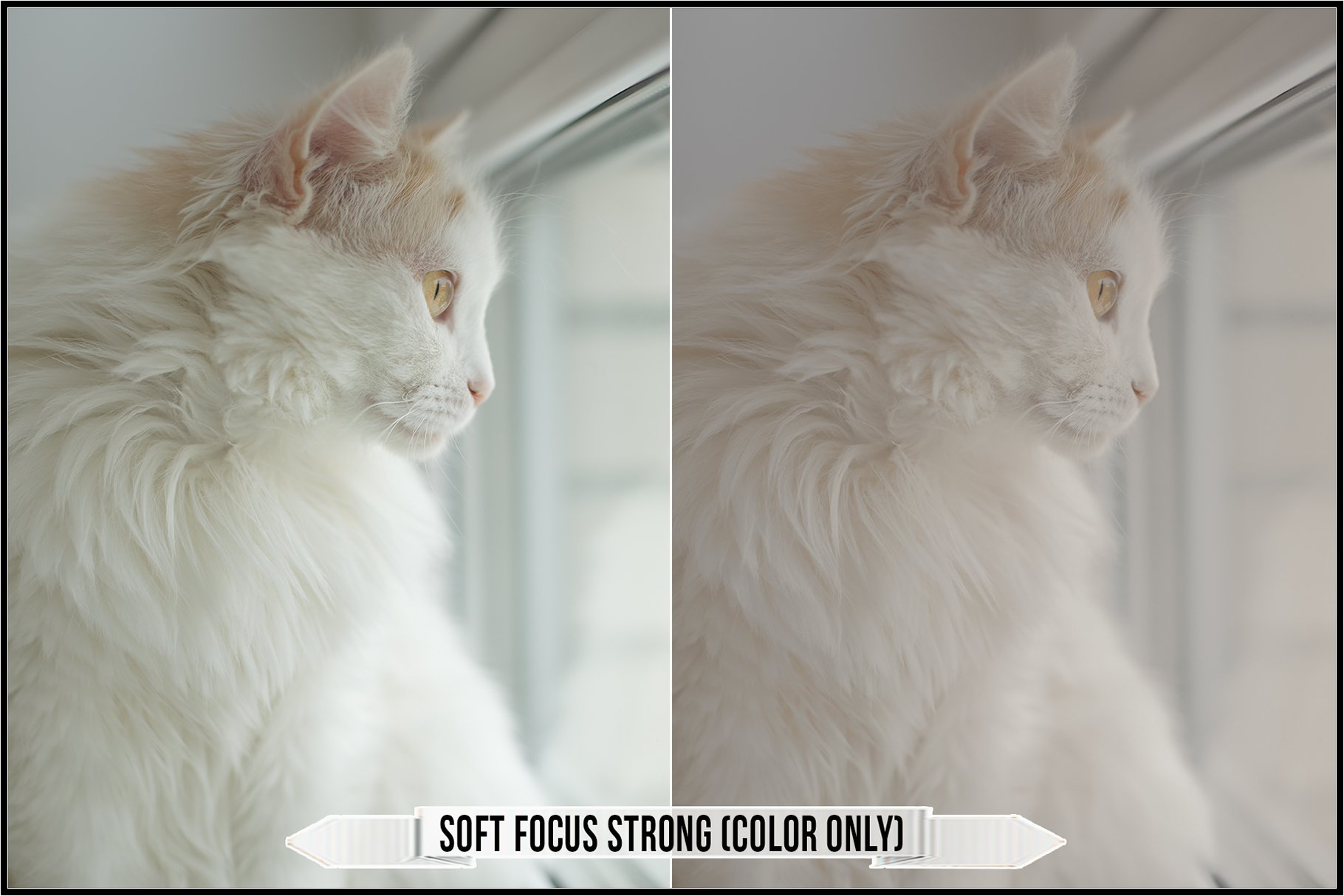 soft focus strong 28color only29 788