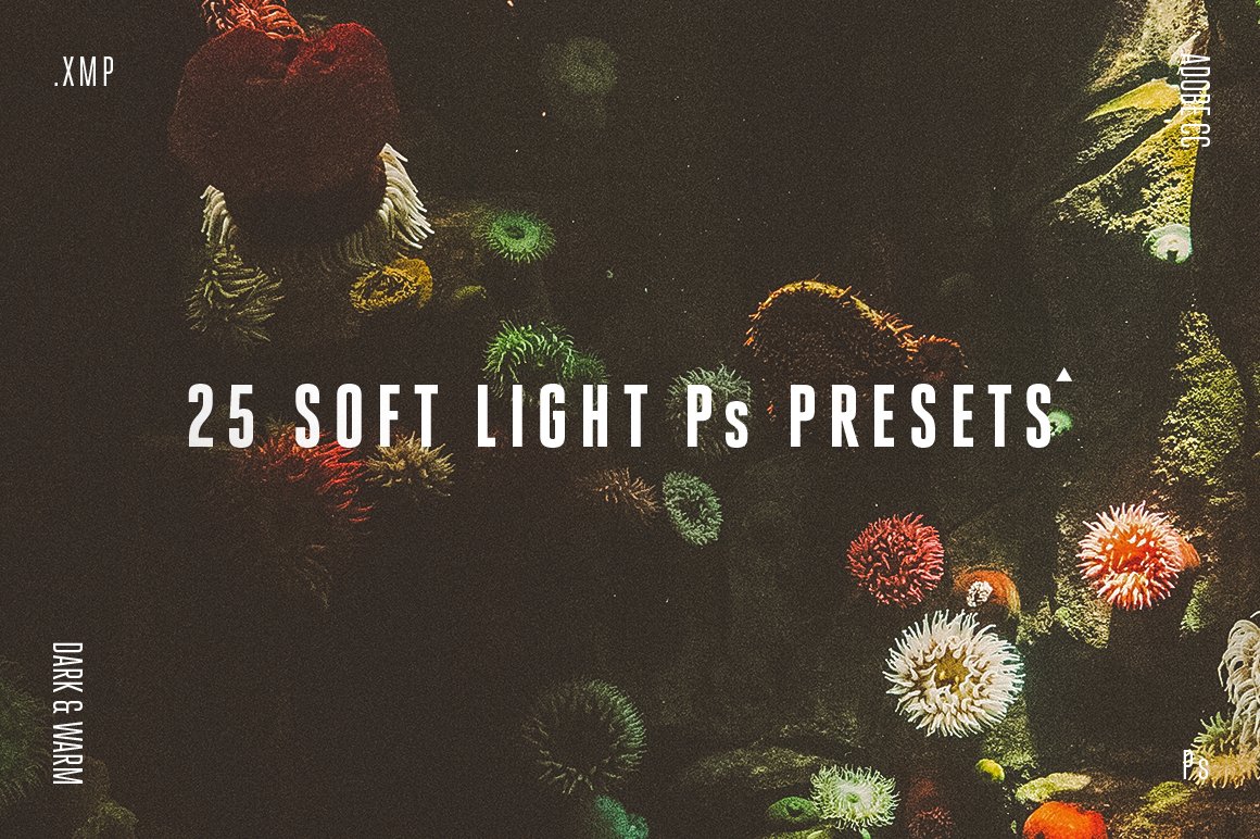 soft light ps presets dark and warm 257