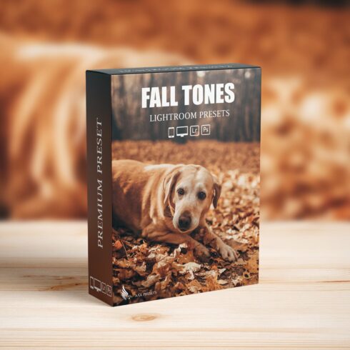 Autumn Fall Tones Lightroom Presetscover image.