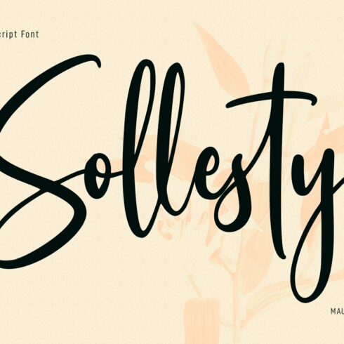 Sollesty Script Font cover image.