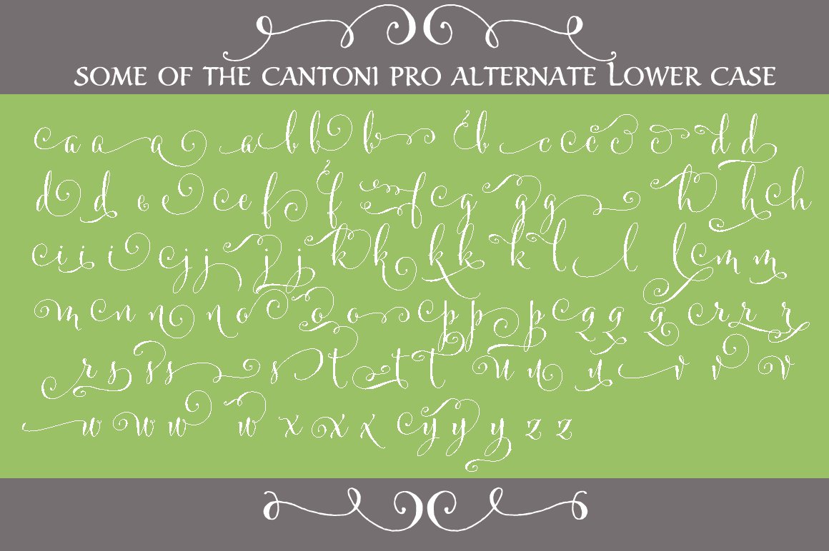 some cantoni pro alternate lower case 124