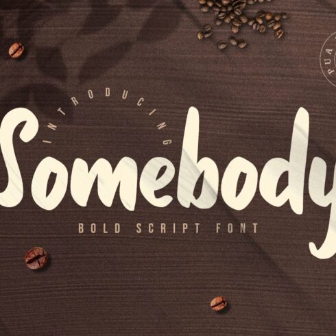 Somebody - Bold Script Font cover image.
